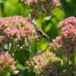 An image showcasing a serene forest trail with clear signage, cautioning against reckless ATV riding