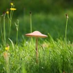 An image showcasing a picturesque Tennessee landscape with a breathtaking backdrop of rolling hills, a dusty trail winding through the terrain, and an ATV MAN confidently navigating the path, adhering to the state's ATV & UTV laws