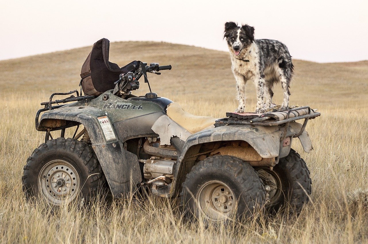 An image showcasing the diverse terrain of Iowa, featuring an ATV and UTV trail winding through lush forests, rolling hills, and crossing serene rivers, highlighting the scenic beauty and adventure of ATV riding in Iowa