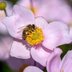 An image showcasing a diverse group of ATV and UTV riders traversing Kentucky's picturesque landscapes, effortlessly obeying state laws
