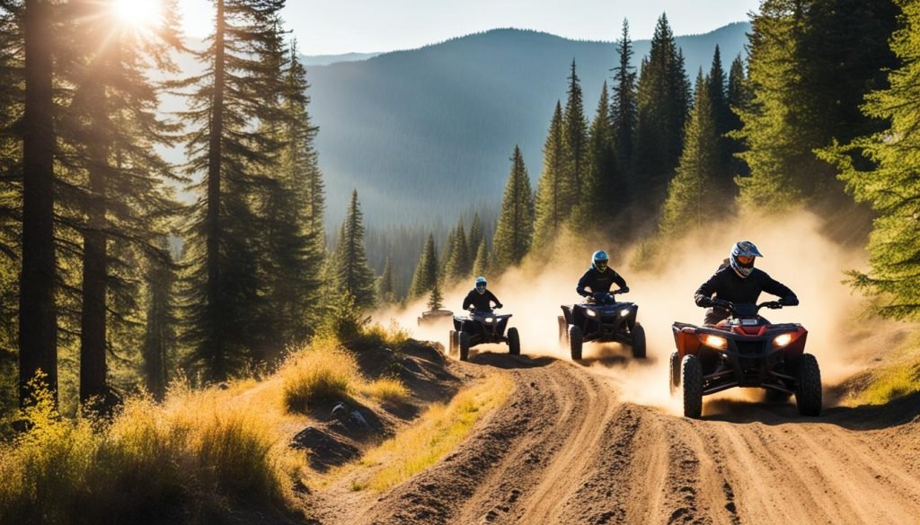 Capitol State Forest Washington ATV riding